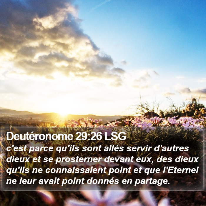 Deutéronome 29:26 LSG Bible Study