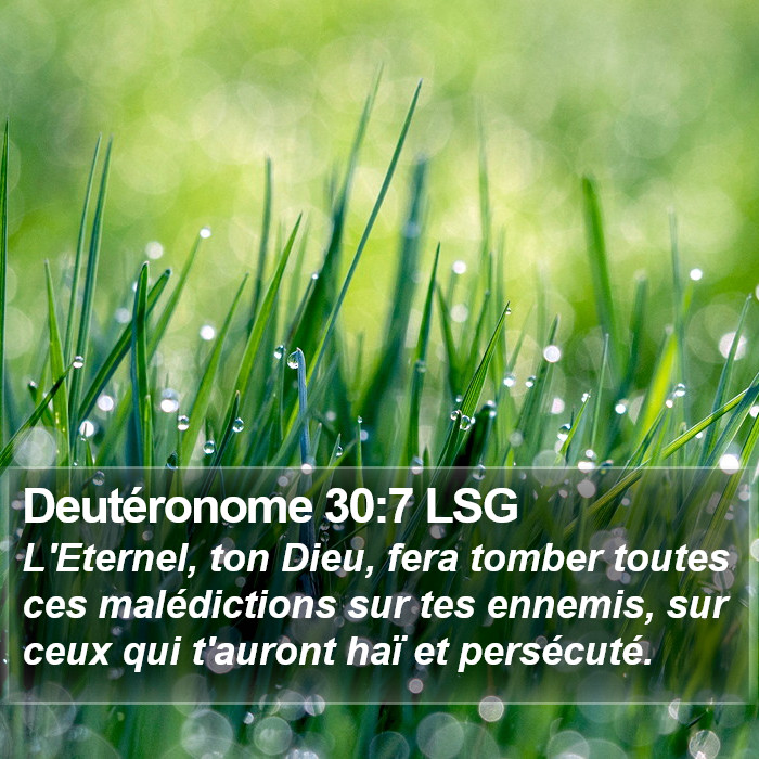 Deutéronome 30:7 LSG Bible Study