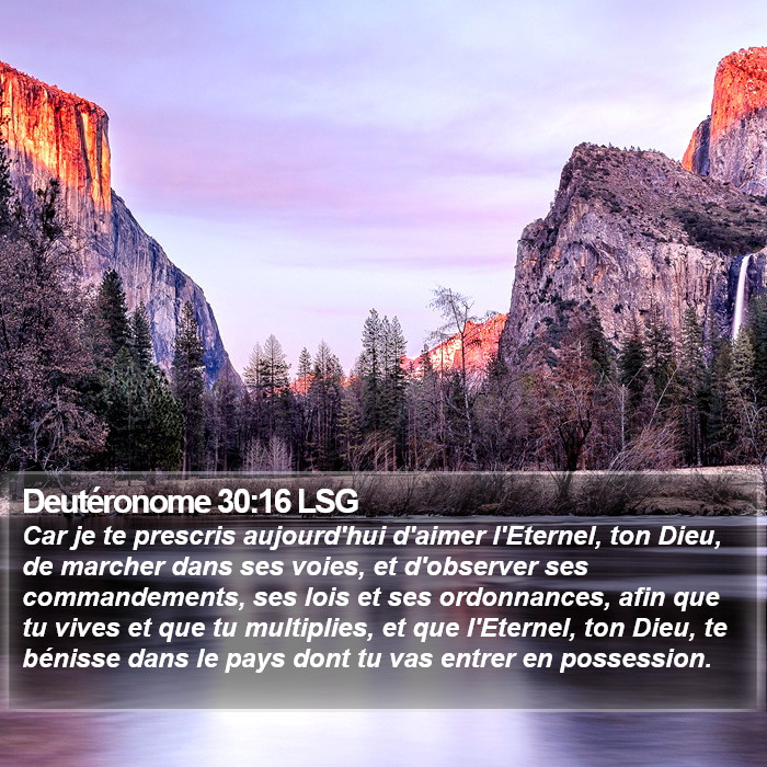 Deutéronome 30:16 LSG Bible Study