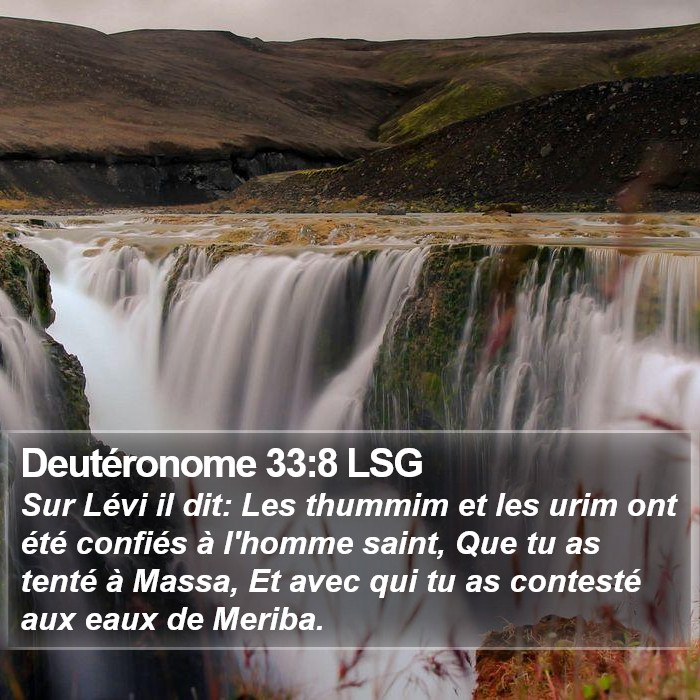Deutéronome 33:8 LSG Bible Study