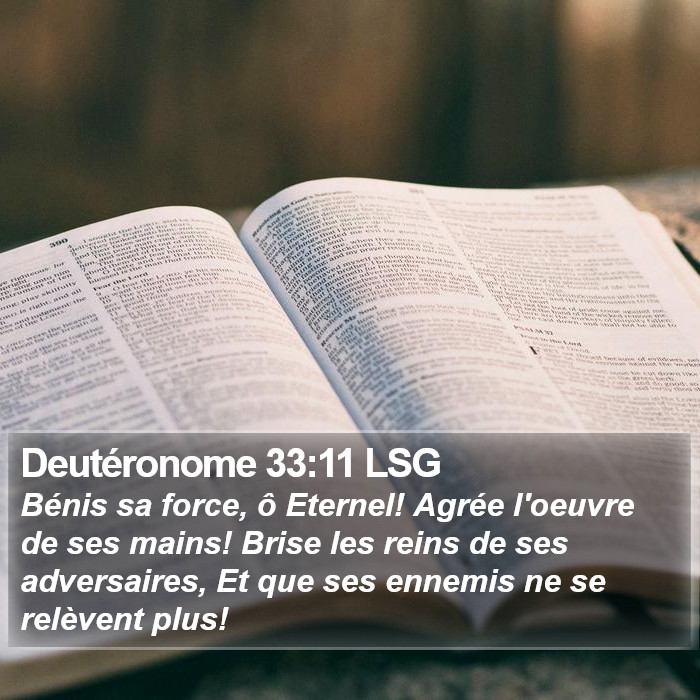 Deutéronome 33:11 LSG Bible Study