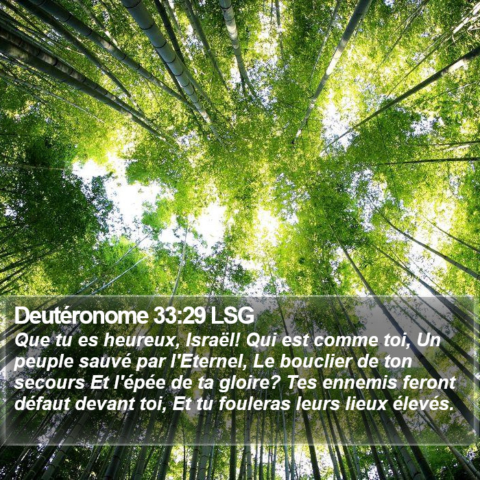 Deutéronome 33:29 LSG Bible Study