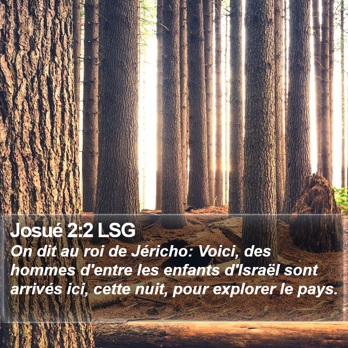 Josué 2:2 LSG Bible Study