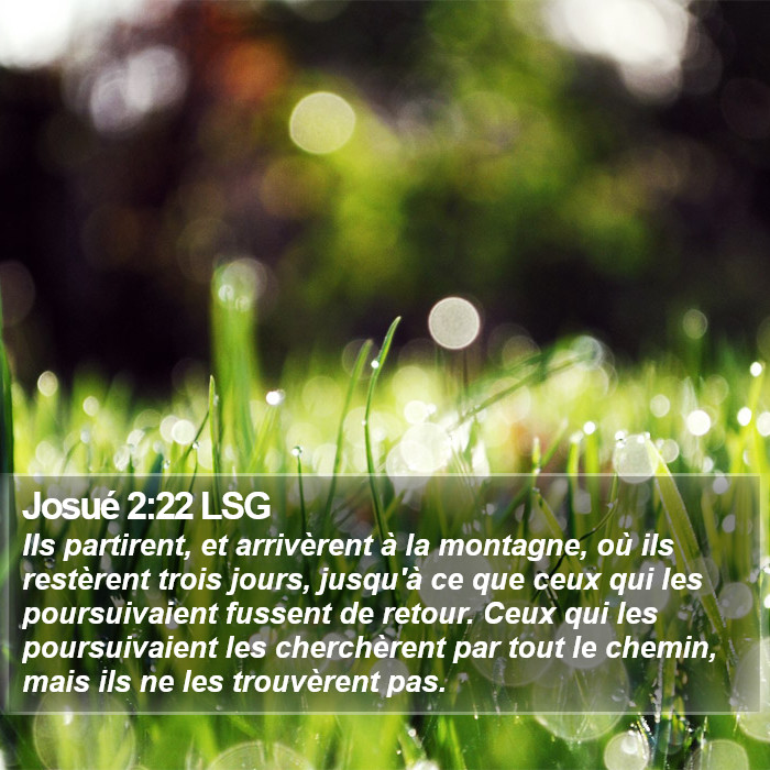 Josué 2:22 LSG Bible Study