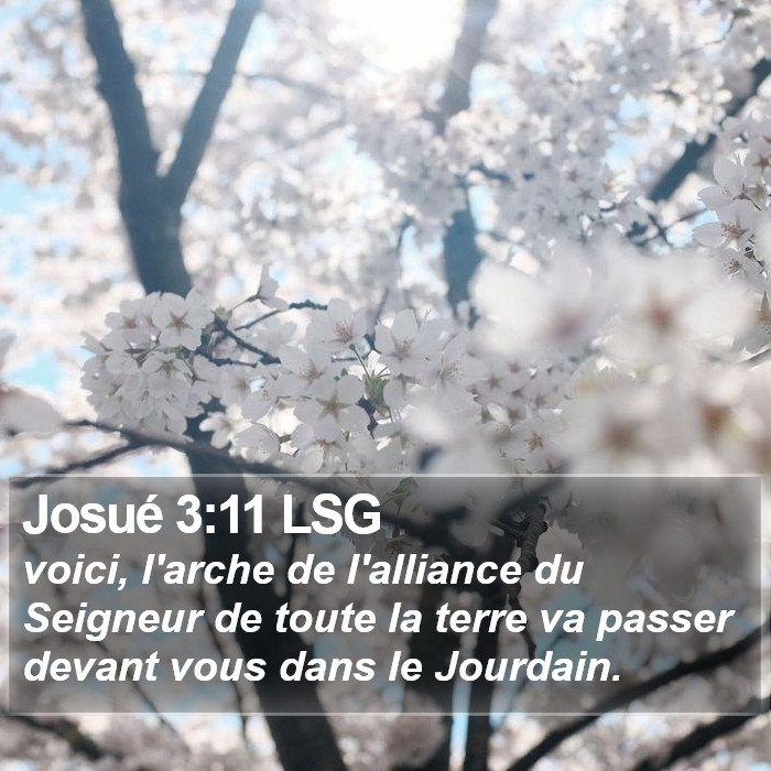 Josué 3:11 LSG Bible Study