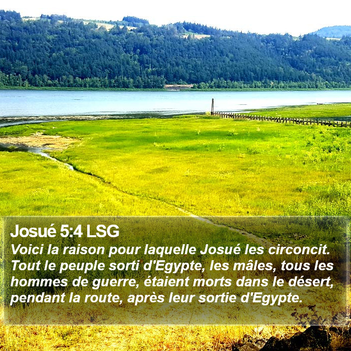 Josué 5:4 LSG Bible Study