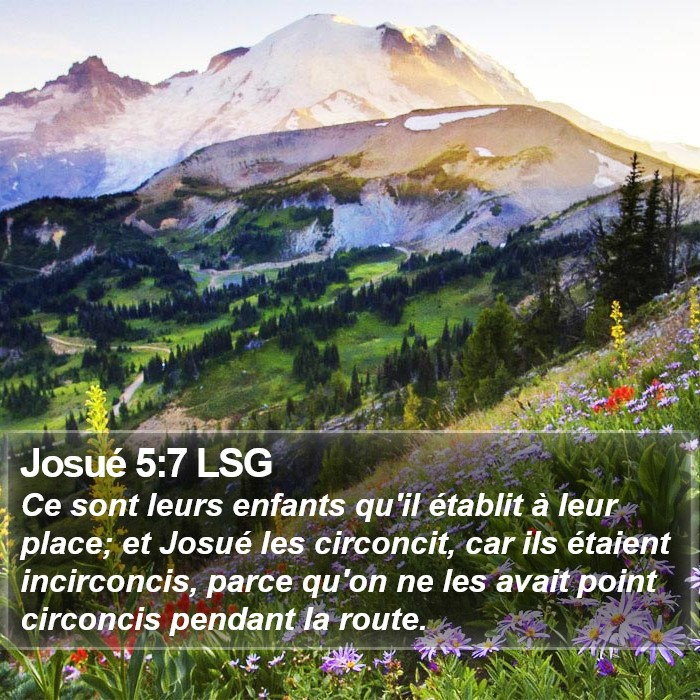 Josué 5:7 LSG Bible Study