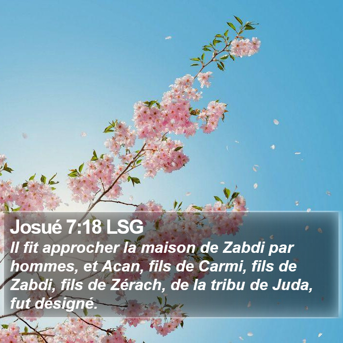 Josué 7:18 LSG Bible Study