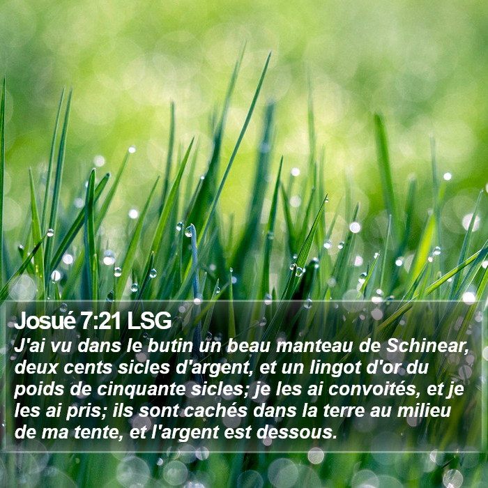 Josué 7:21 LSG Bible Study