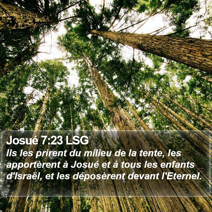 Josué 7:23 LSG Bible Study