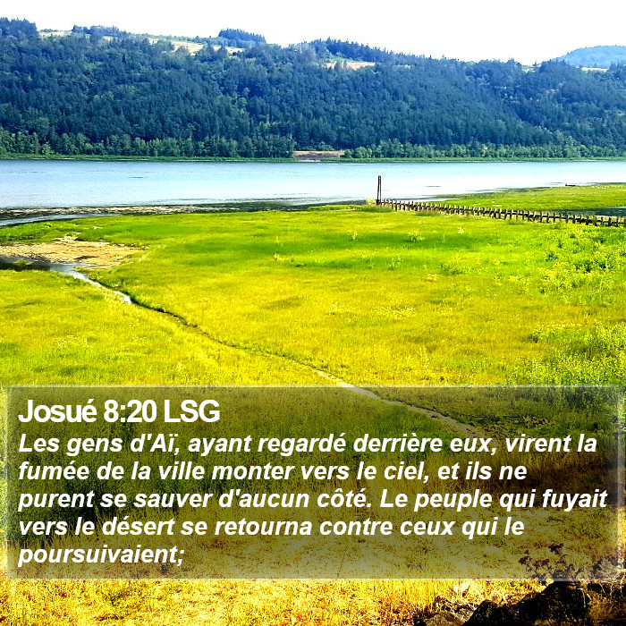 Josué 8:20 LSG Bible Study