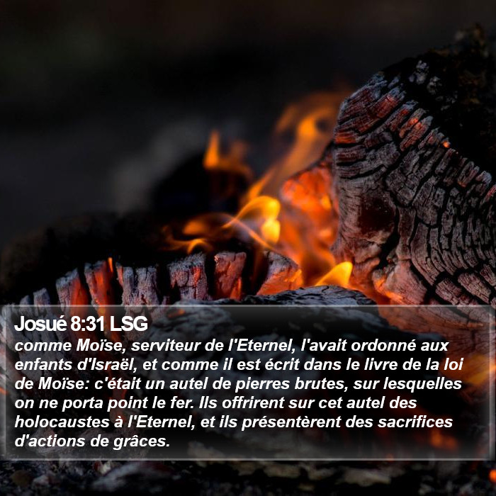 Josué 8:31 LSG Bible Study