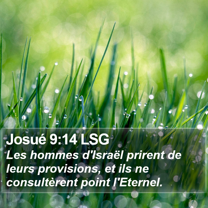 Josué 9:14 LSG Bible Study