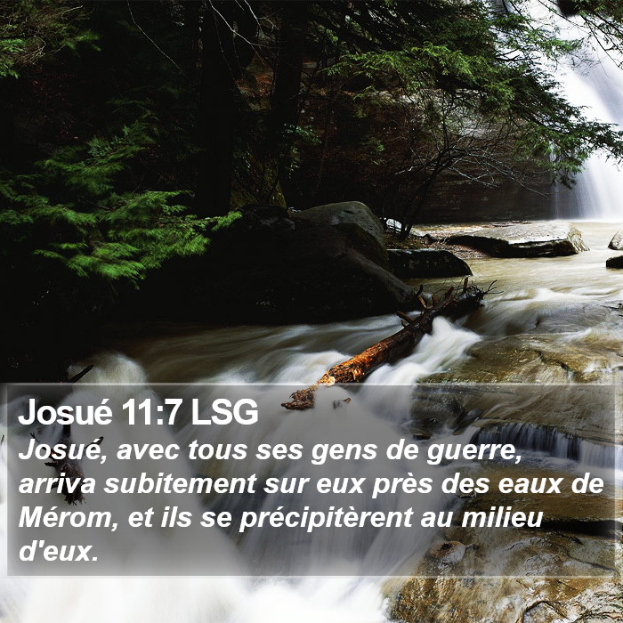 Josué 11:7 LSG Bible Study