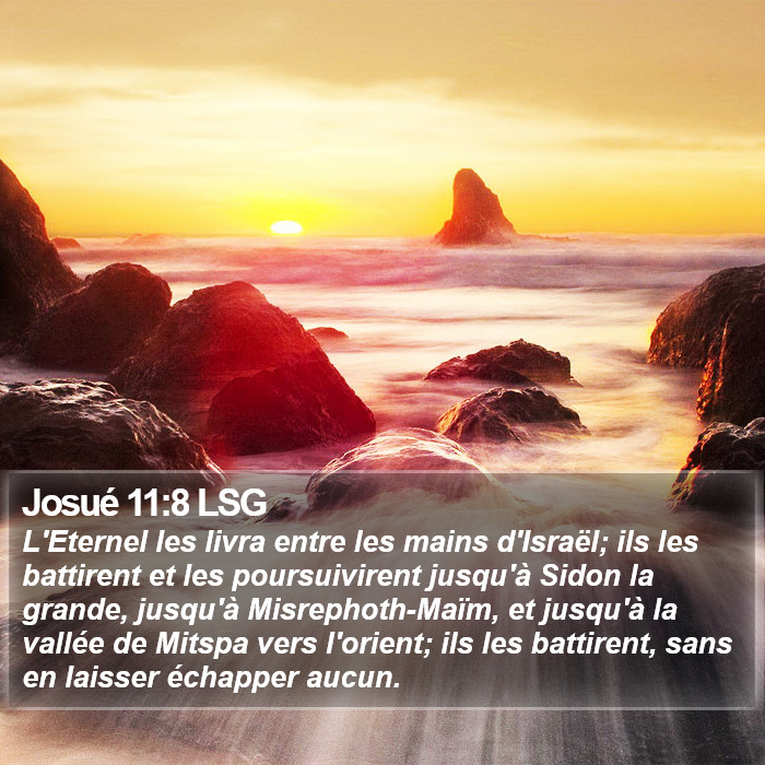 Josué 11:8 LSG Bible Study