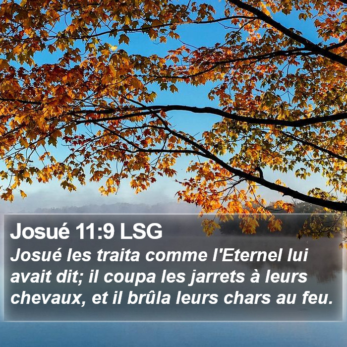 Josué 11:9 LSG Bible Study