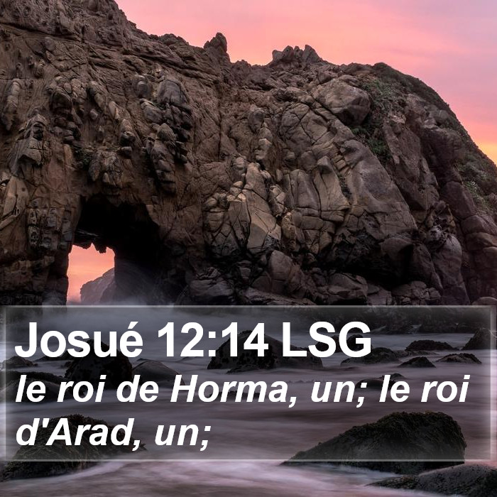Josué 12:14 LSG Bible Study