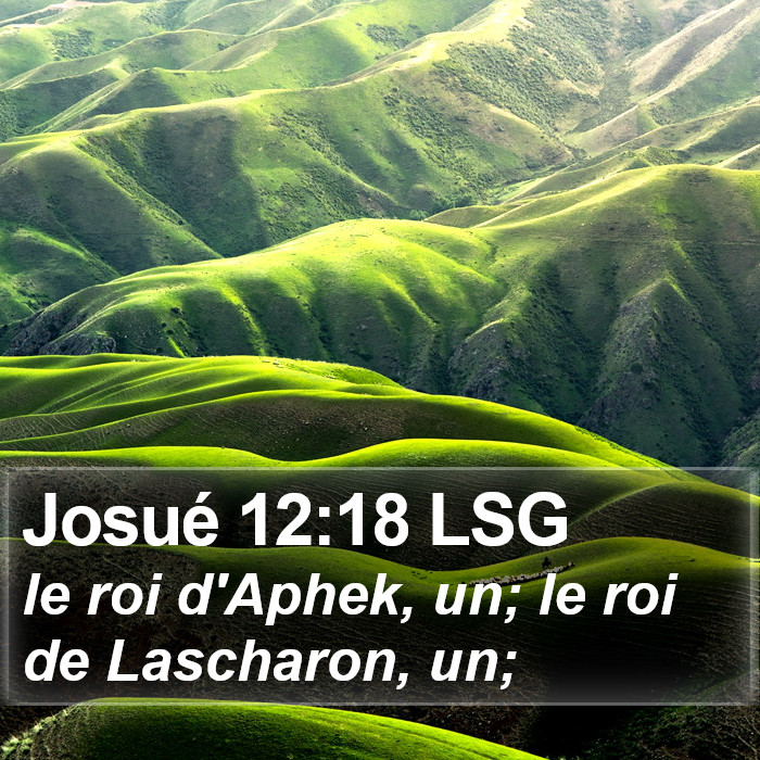 Josué 12:18 LSG Bible Study