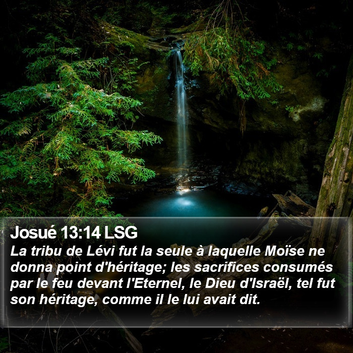 Josué 13:14 LSG Bible Study