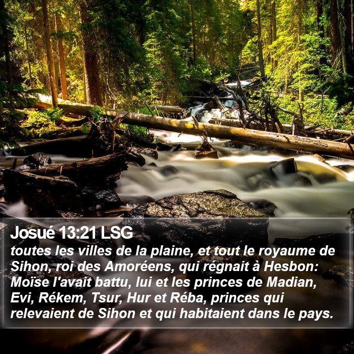 Josué 13:21 LSG Bible Study