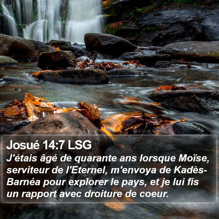 Josué 14:7 LSG Bible Study