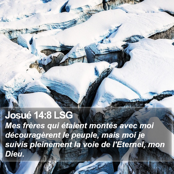 Josué 14:8 LSG Bible Study