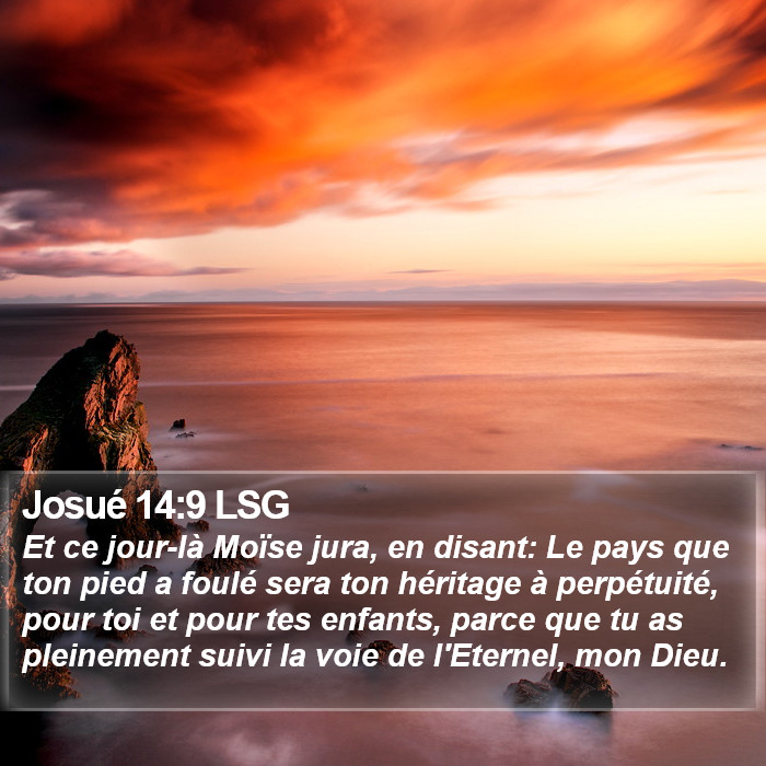 Josué 14:9 LSG Bible Study