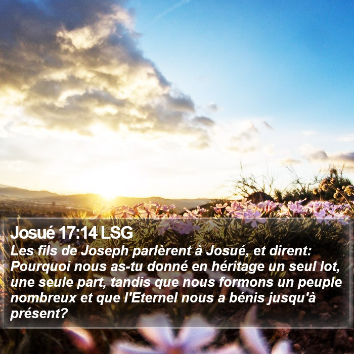 Josué 17:14 LSG Bible Study