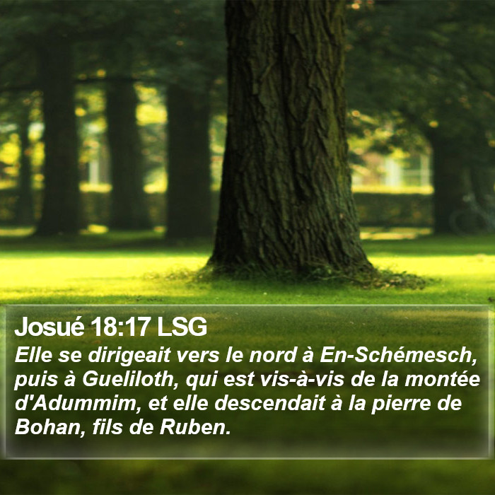 Josué 18:17 LSG Bible Study
