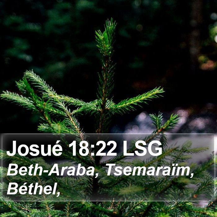 Josué 18:22 LSG Bible Study