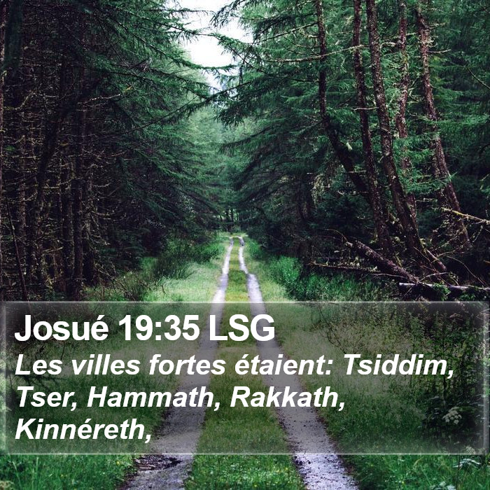 Josué 19:35 LSG Bible Study