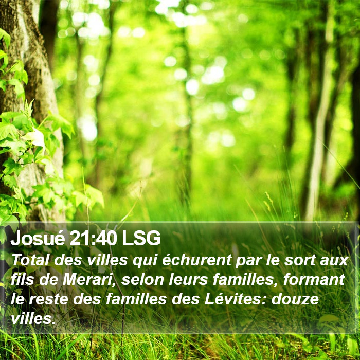 Josué 21:40 LSG Bible Study