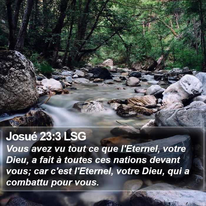 Josué 23:3 LSG Bible Study