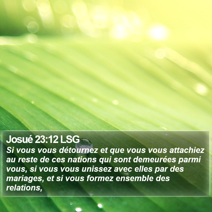 Josué 23:12 LSG Bible Study