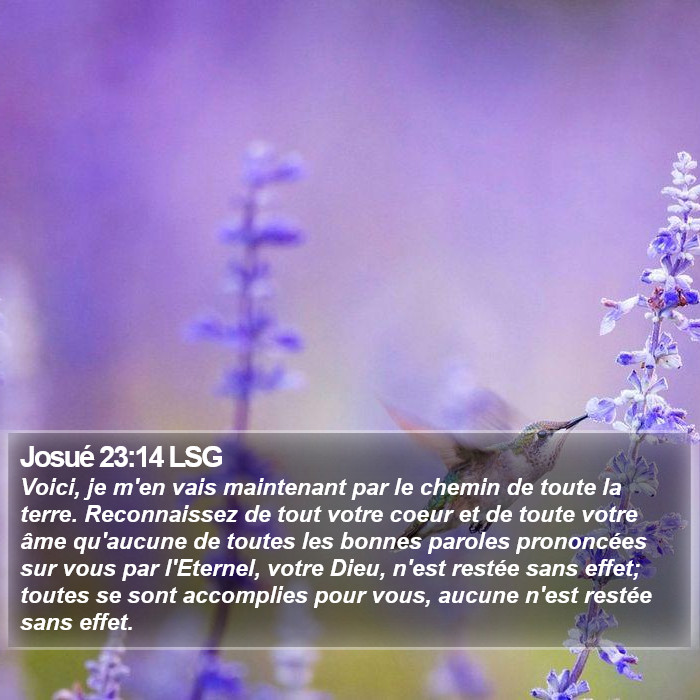 Josué 23:14 LSG Bible Study