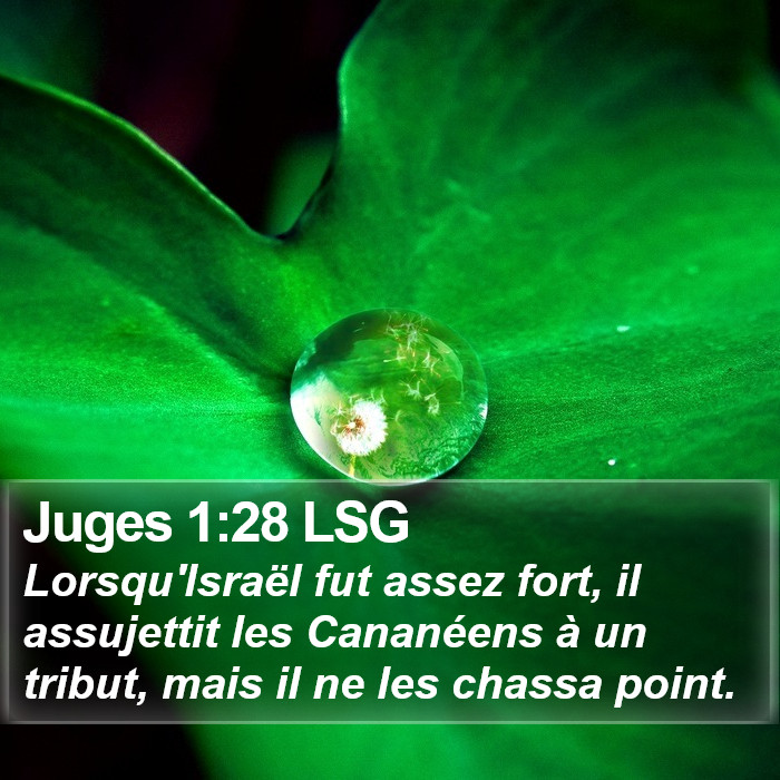 Juges 1:28 LSG Bible Study