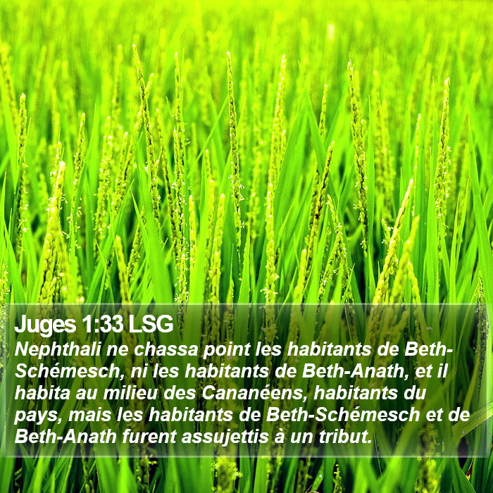 Juges 1:33 LSG Bible Study