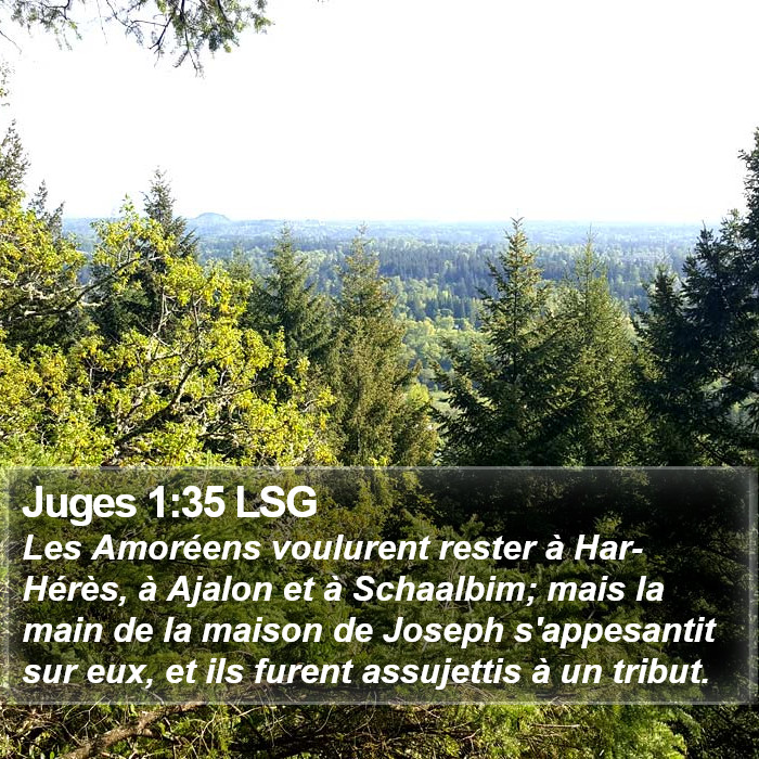 Juges 1:35 LSG Bible Study