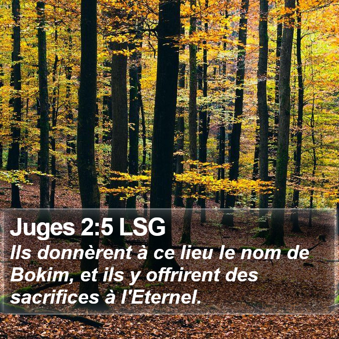 Juges 2:5 LSG Bible Study