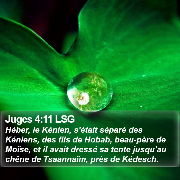 Juges 4:11 LSG Bible Study