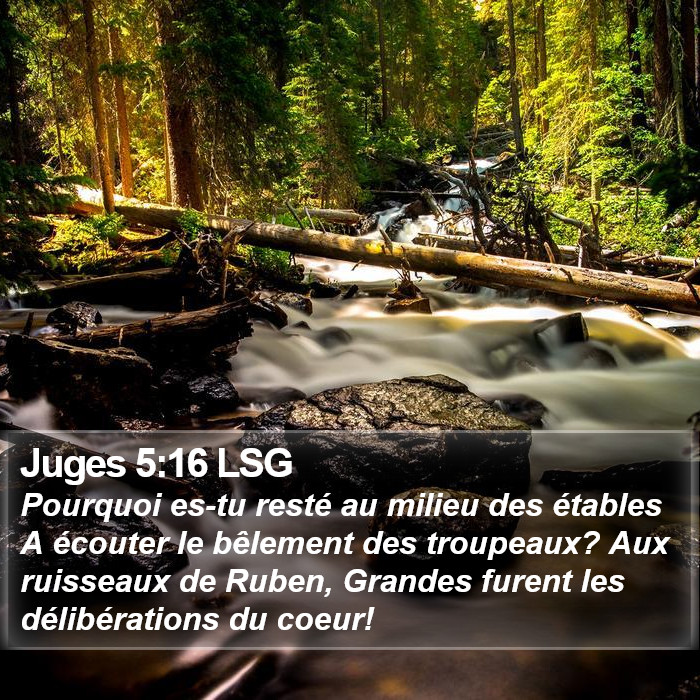 Juges 5:16 LSG Bible Study
