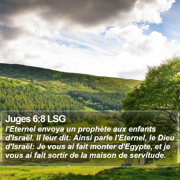 Juges 6:8 LSG Bible Study