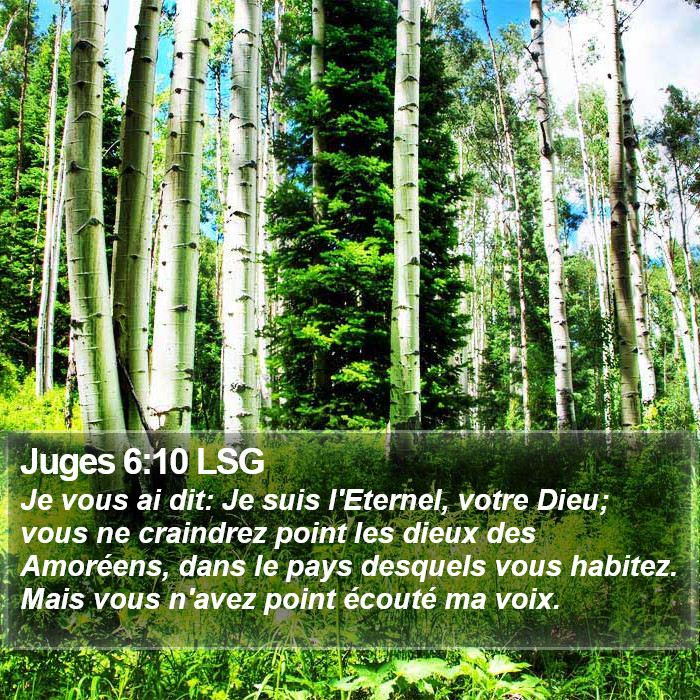 Juges 6:10 LSG Bible Study