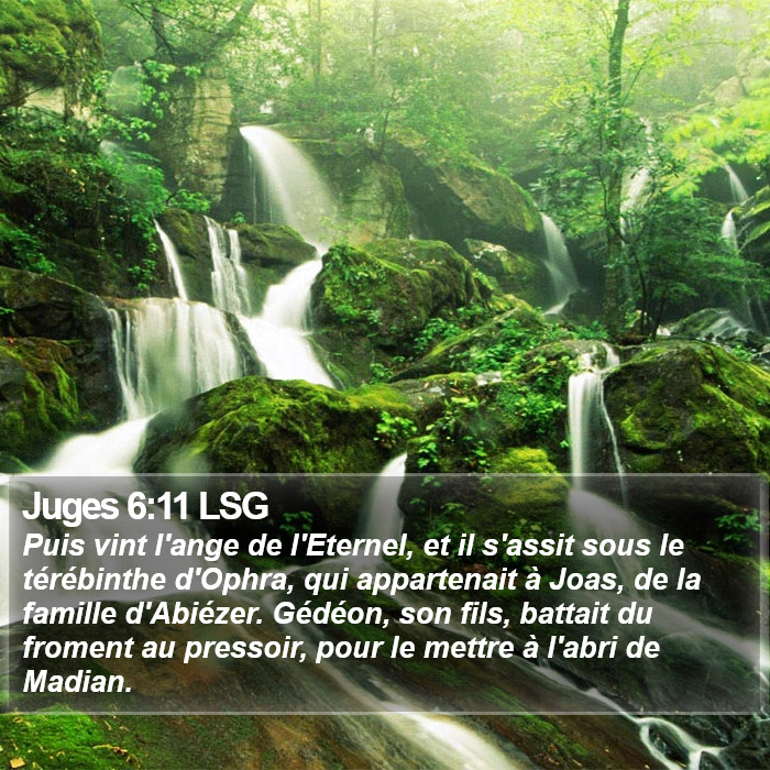 Juges 6:11 LSG Bible Study