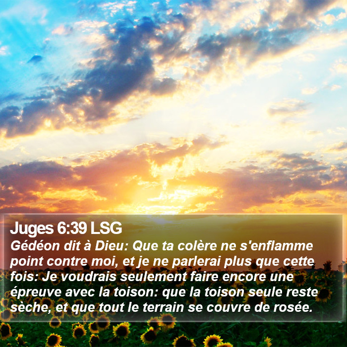 Juges 6:39 LSG Bible Study