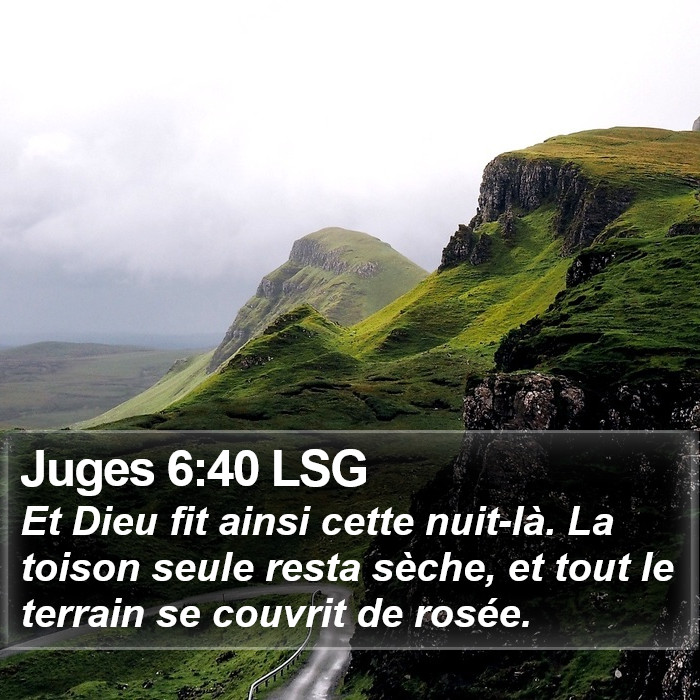 Juges 6:40 LSG Bible Study