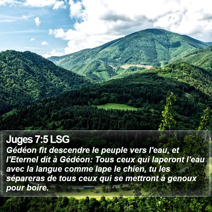 Juges 7:5 LSG Bible Study