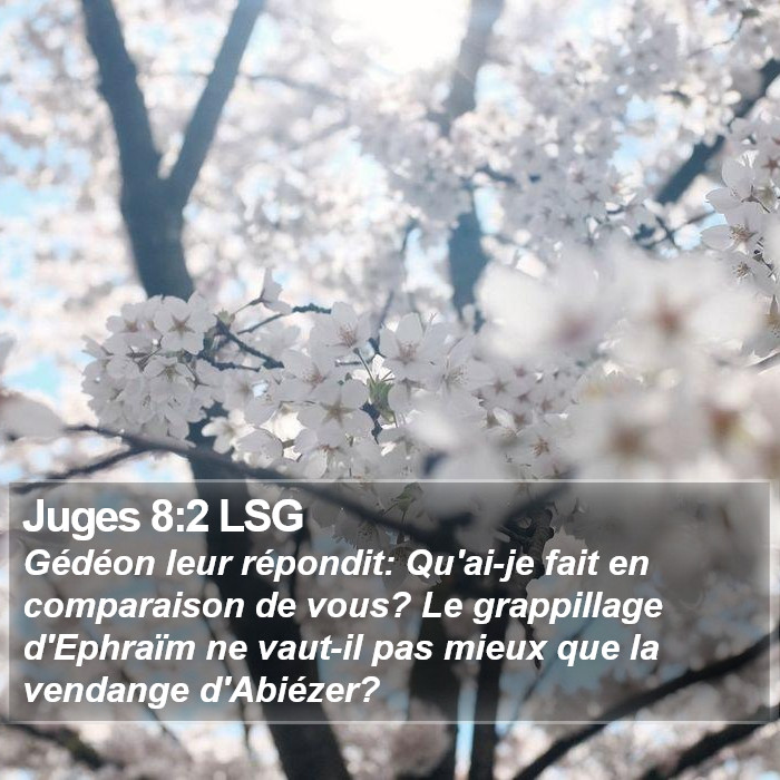 Juges 8:2 LSG Bible Study