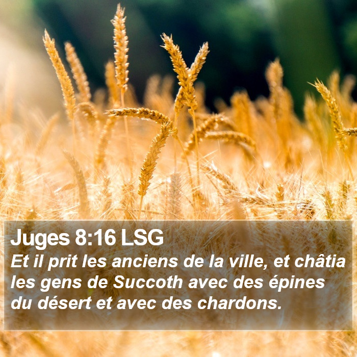 Juges 8:16 LSG Bible Study