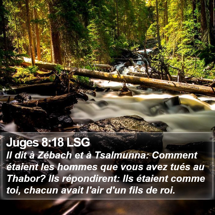 Juges 8:18 LSG Bible Study